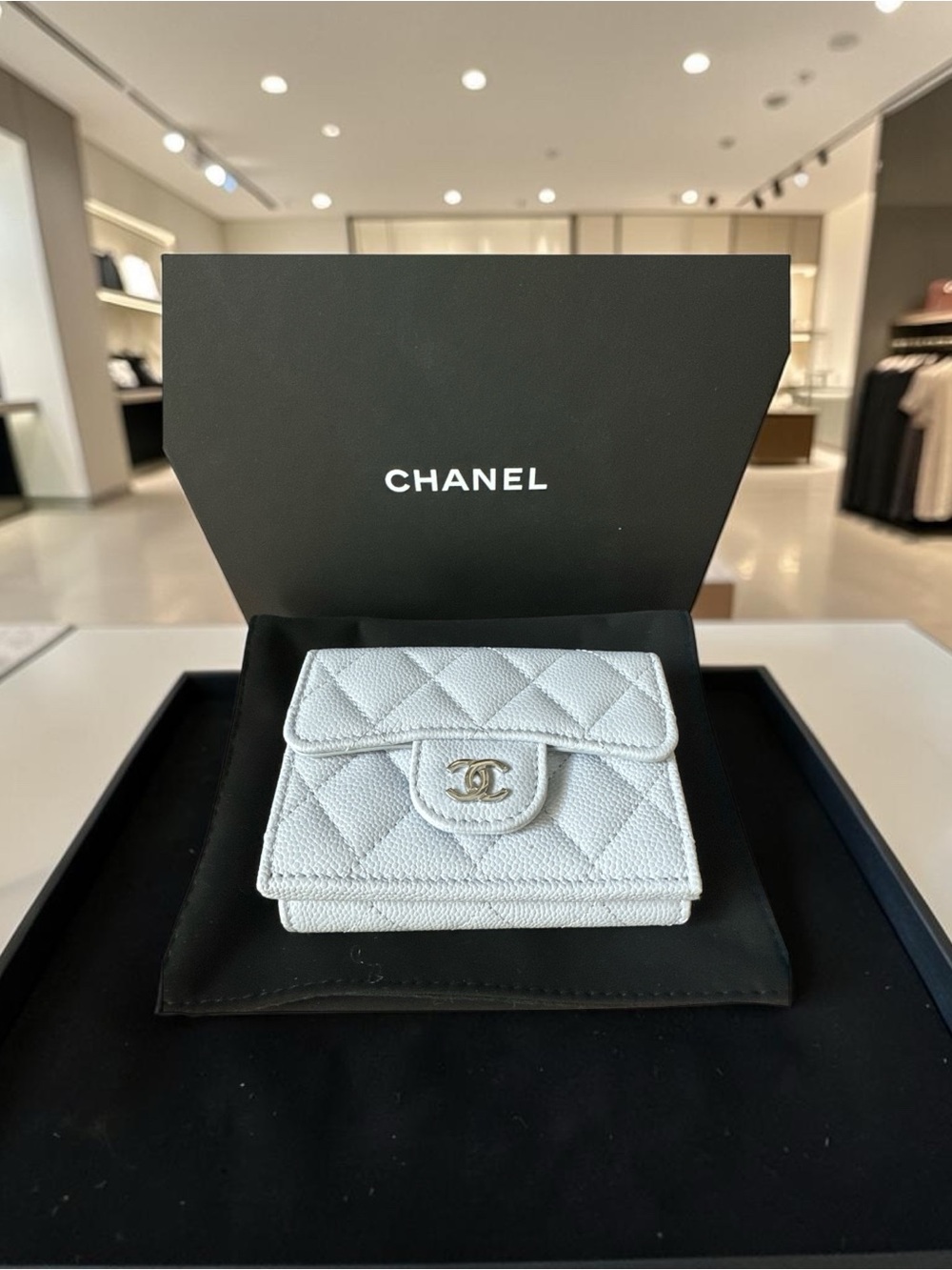 Chanel Light Blue Oyster Wallet Silver CC‎ Logo Petite Maroquinerie NIB APGA01G3